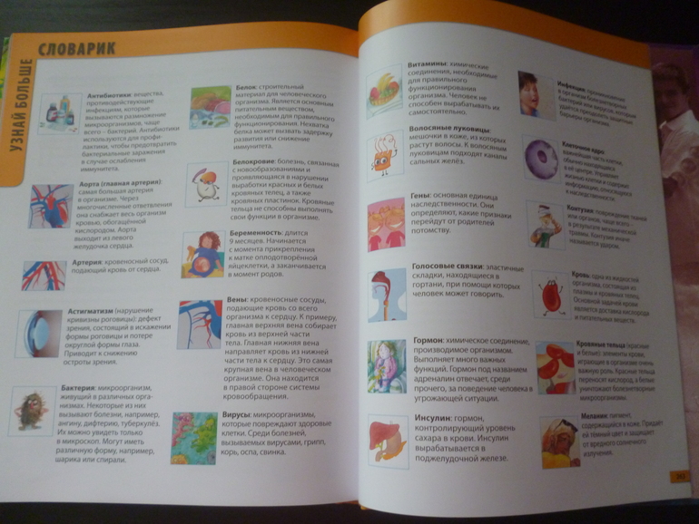 Энциклопедии про животных