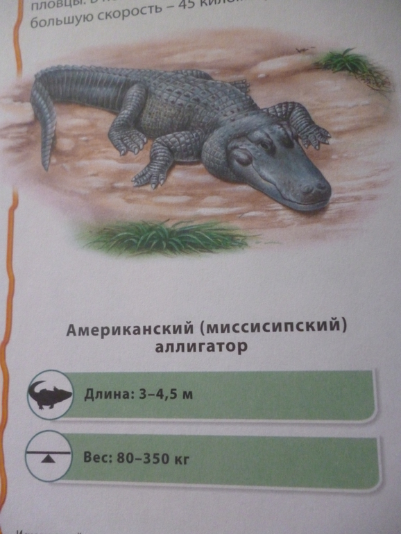 Энциклопедии про животных