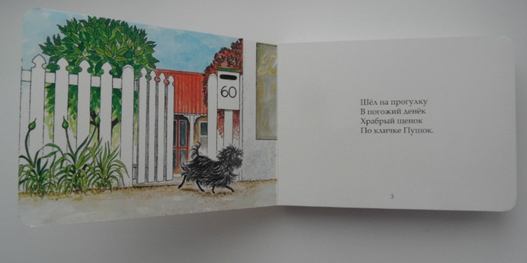 Наши книжные новинки (1,6)