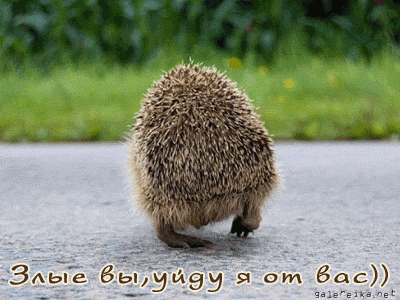 закрываю дневник