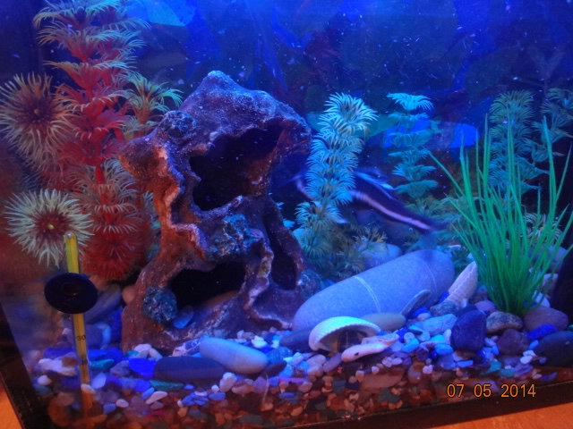 Наши долгожители