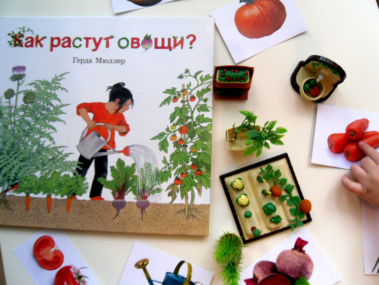 Зачем гордиться неграмотностью?