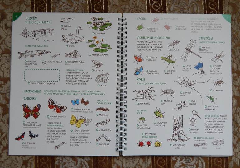 Занималки.Лето