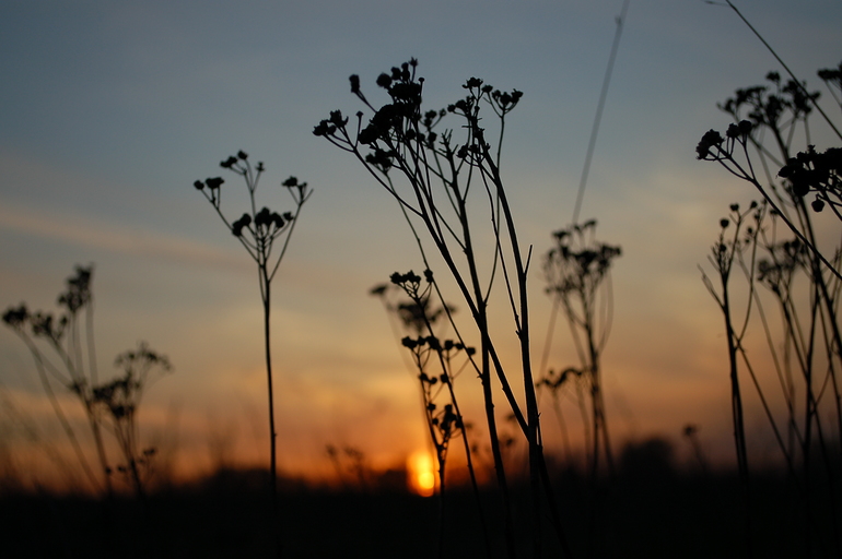 Вечерняя прогулка