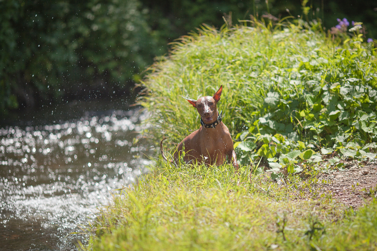 Вот так весело на речке!