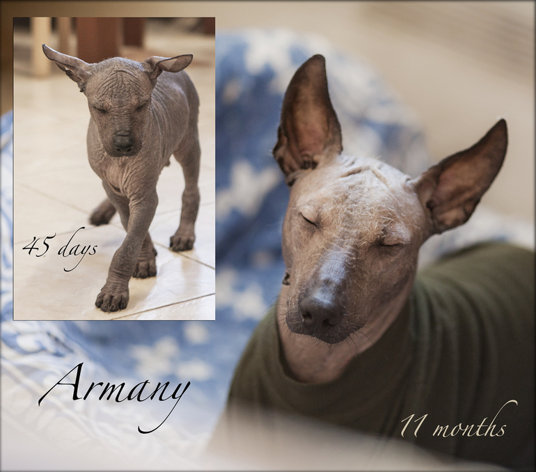 как молоды мы были....