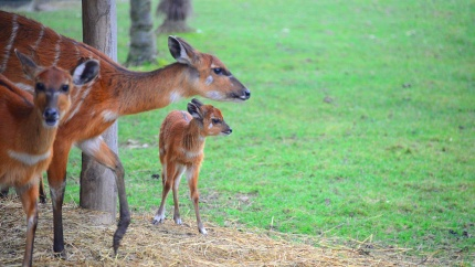 Отпуск в чемодане ))) хотя до мая ещё долгооо...