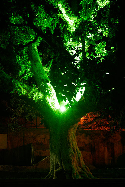 О поездках, Святынях, встречах и впечатлениях на Кипре. 2013 г.