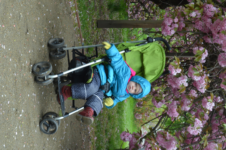 Прага 12-19 апреля 2014 год