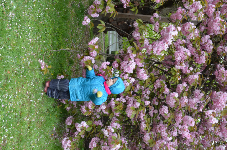 Прага 12-19 апреля 2014 год