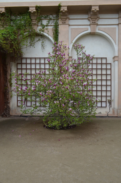 Прага 12-19 апреля 2014 год