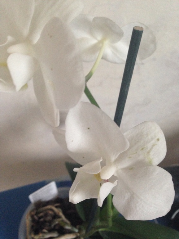 Нужна помощь!!!