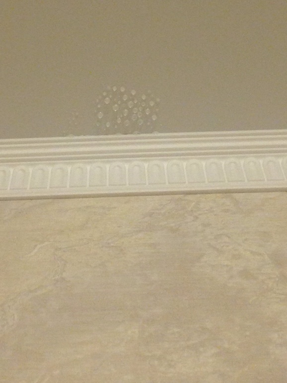 Что за напасть?!