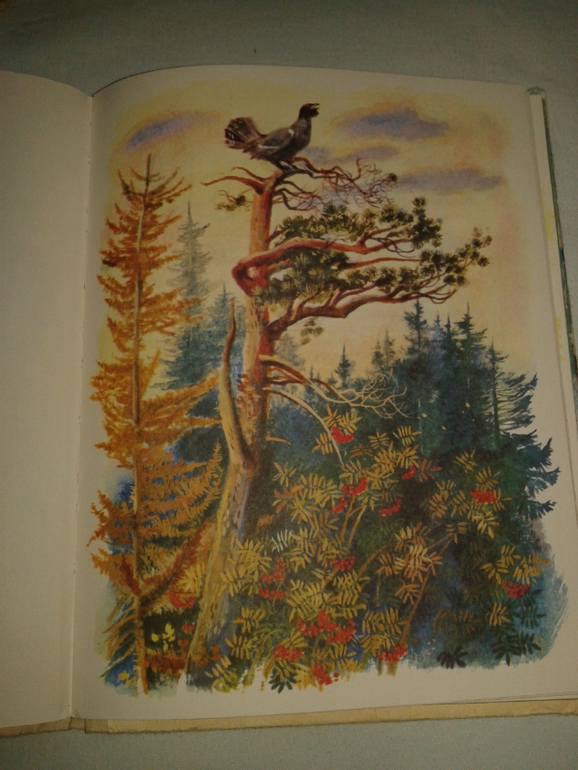 Галина Новицкая