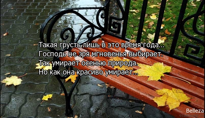 9bdb798189dc5b22ea3aabd41f0186ea.jpg