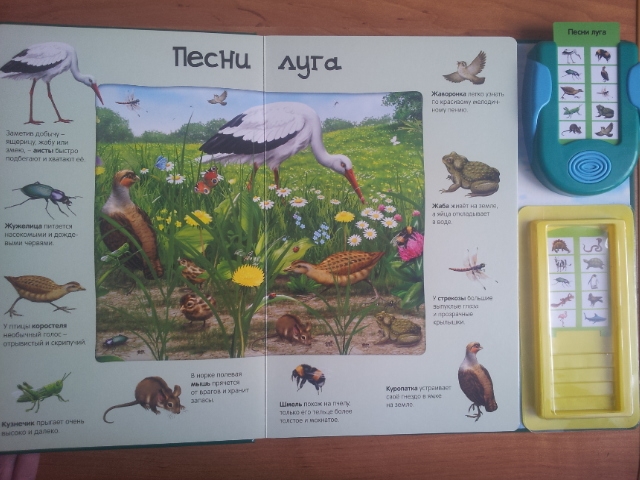 100 волшебных звуков или