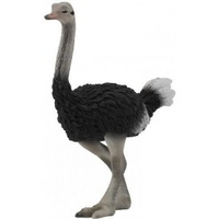 Кому животных - смотрите что нашла))