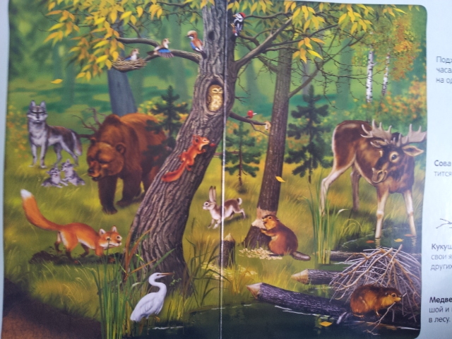 100 волшебных звуков или