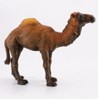 Кому животных - смотрите что нашла))