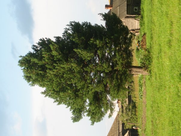 Участок с домом 22 сотки Владимирская область