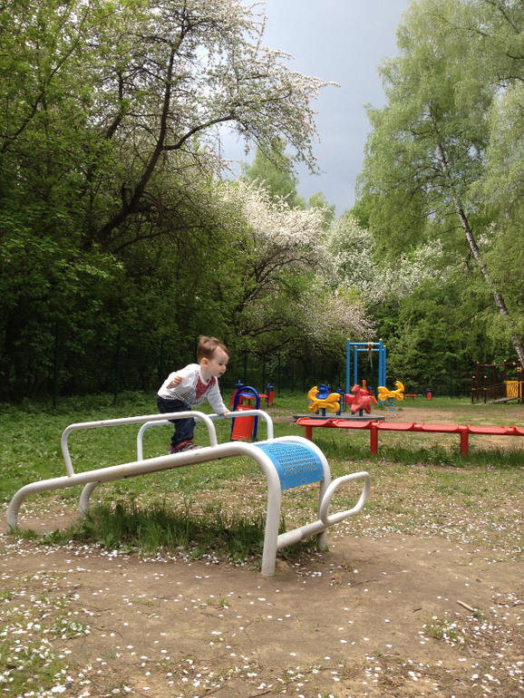 Яблони и одинокий пупс