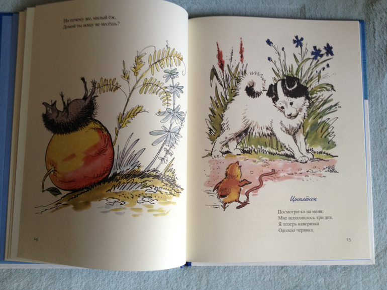 Наши книжные обновки