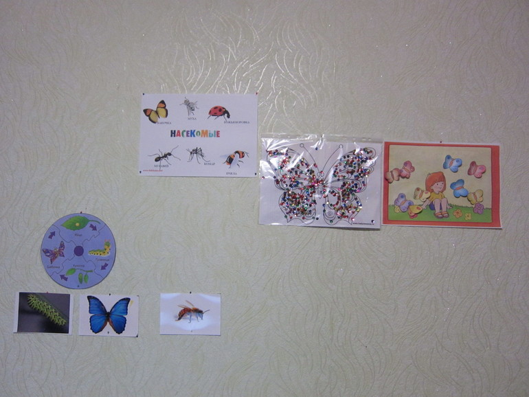 ТН НАСЕКОМЫЕ День 1