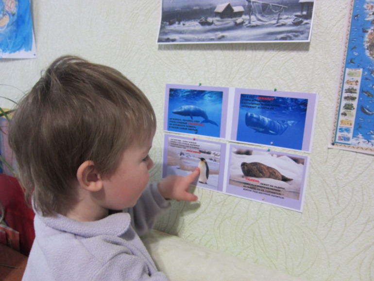 ТН АРКТИКА И АНТАРКТИКА День 2