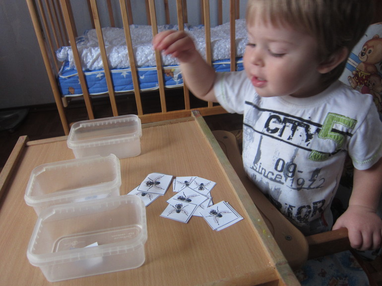 ТН НАСЕКОМЫЕ День 5