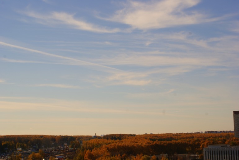 1c2ecddceedf72f6378f67445520a91f.jpg