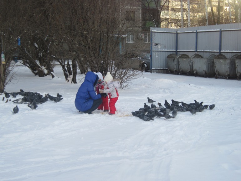 ТН Встречавем зиму. День второй. Зимующие птицы