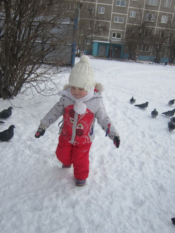 ТН Встречавем зиму. День второй. Зимующие птицы