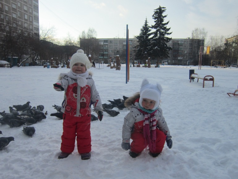 ТН Встречавем зиму. День второй. Зимующие птицы
