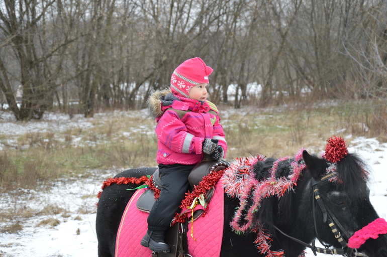 Усадьба Деда Мороза