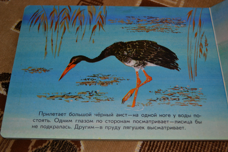 Художники из детства)