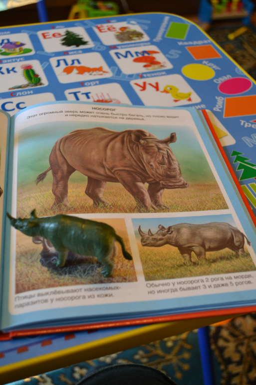 Наши животные