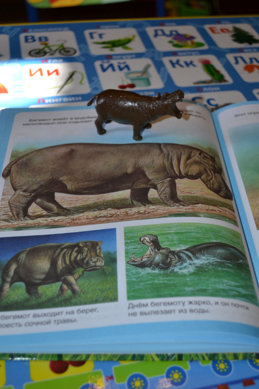 Наши животные