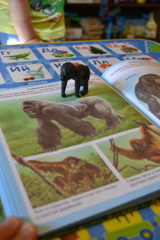 Наши животные