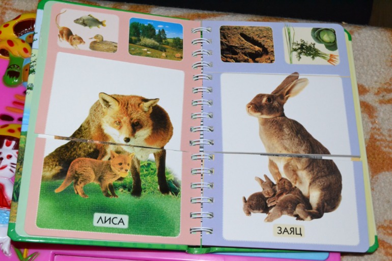 Наши книги в 1 год и 6 месяцев. Часть 2.