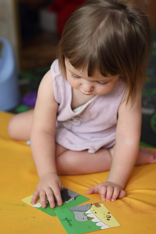 ТН Птицы. День 2