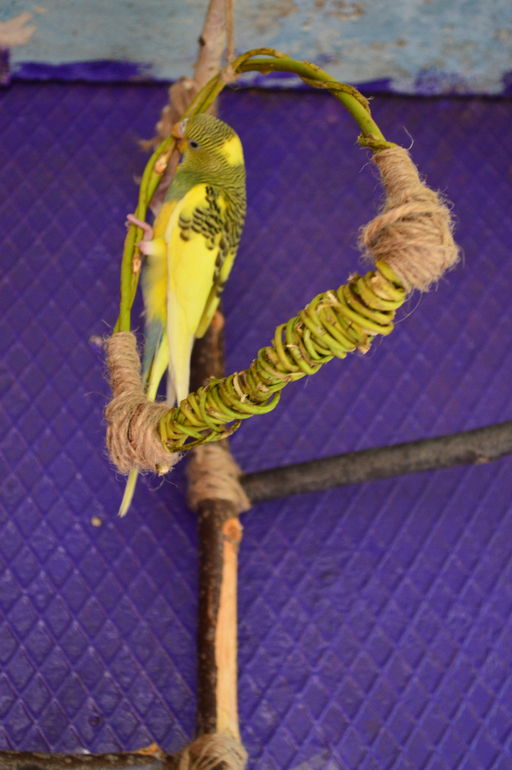 И снова о наших баранах!