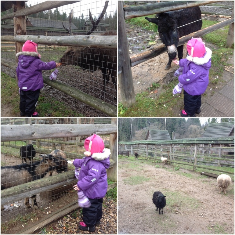 Наши выходные в Бест Кантри Резорт