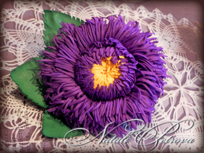 Новоиспеченные . Много фото