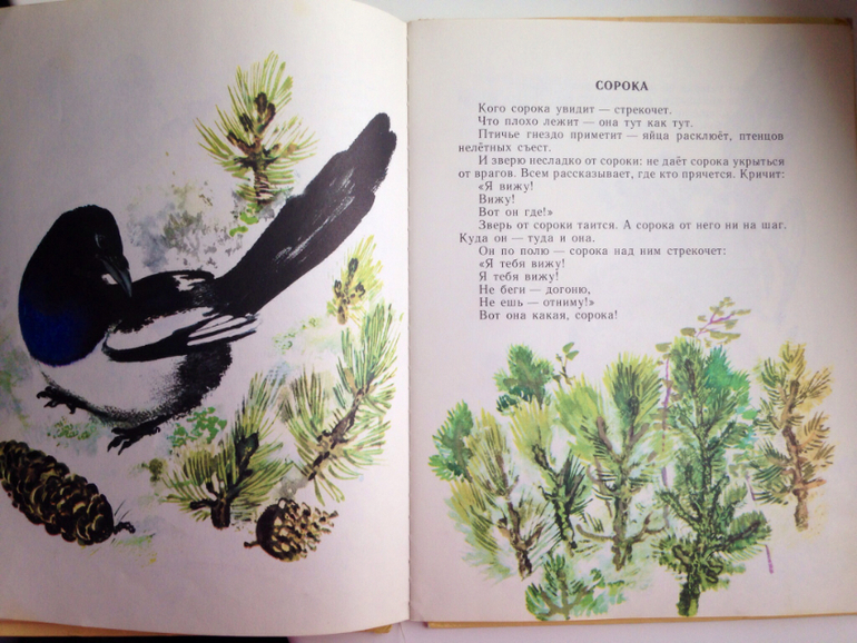 Часть наших книг