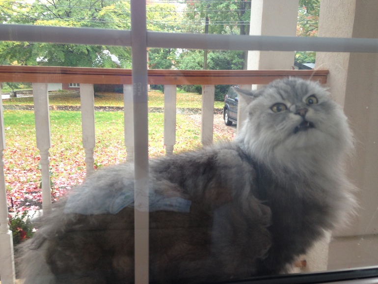51ad5bcdb2661a5394d1ce01ab5a6697.jpg