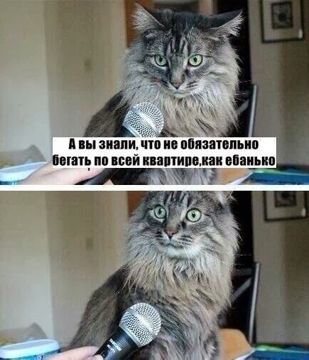 Ржу ))
