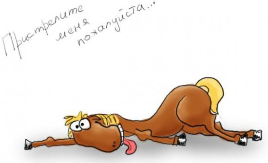 Принцессина лошадь