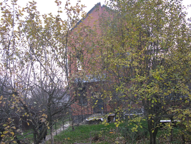 ДОМ ЗА ГОРОДОМ СДАЕМ!!!!