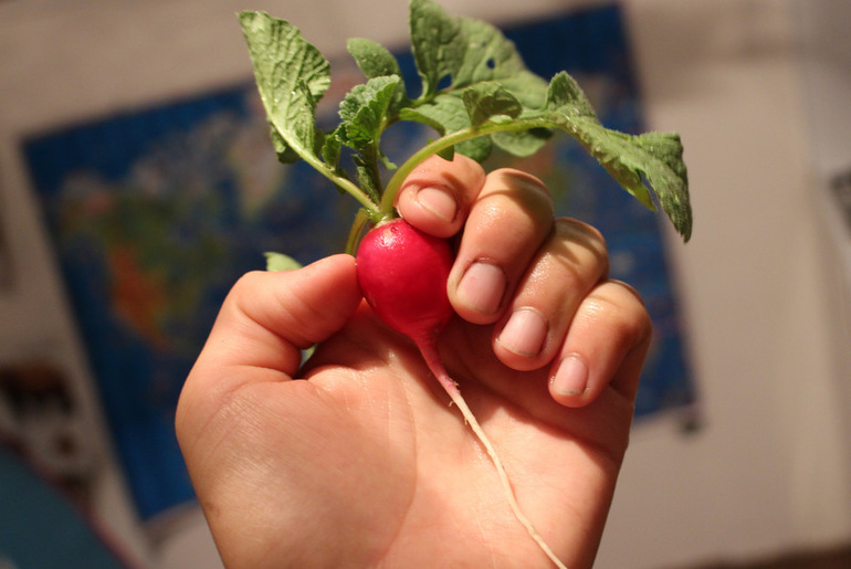 огородное (до отпускное)