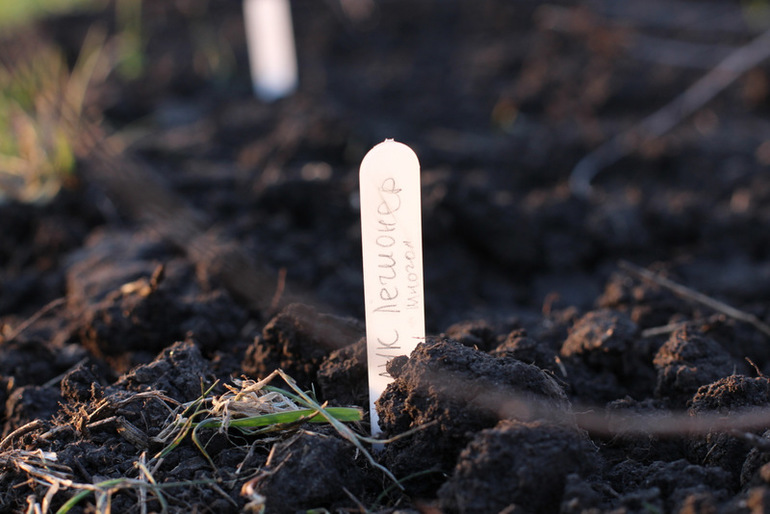 Огородное (до Пасхи)